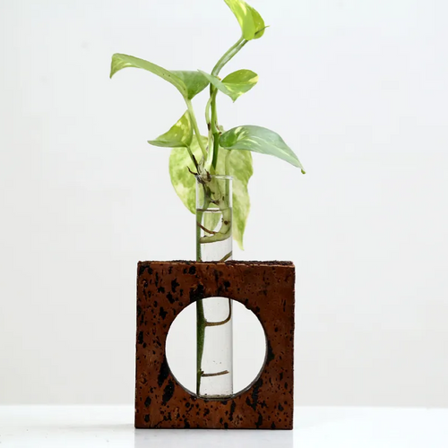 Cork Table Top Planter
