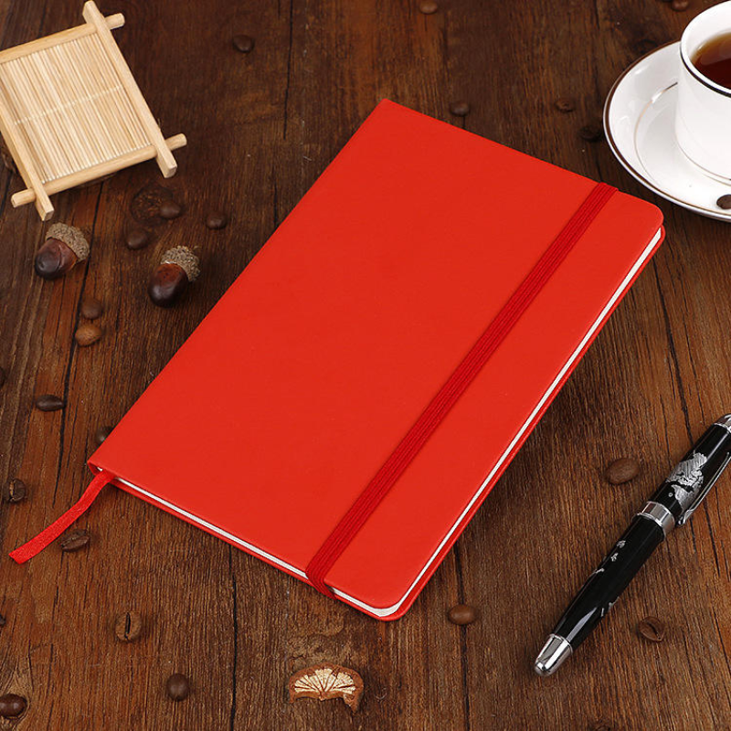 Daylight Diary